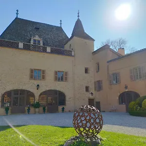 Chateau De La Venerie Bed & Breakfast Denicé
